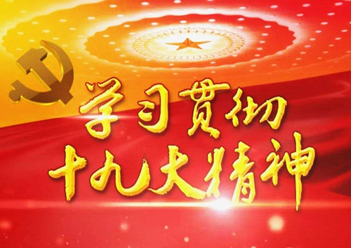 关于认真学习宣传贯彻党的十九大精神的实施方案