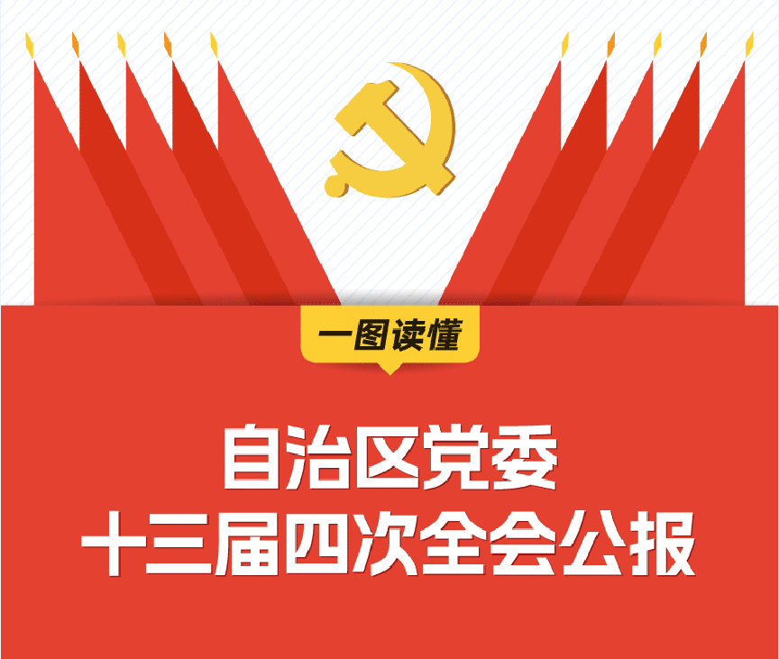 一图读懂｜自治区党委十三届四次全会公报