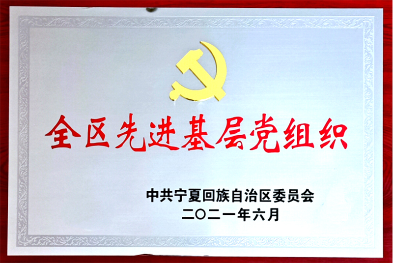 喜讯博鱼（中国）党委荣获“全区先进基层党组织”149.jpg